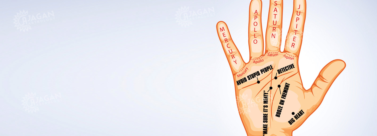 Hand Reading astrologer in Birmingham