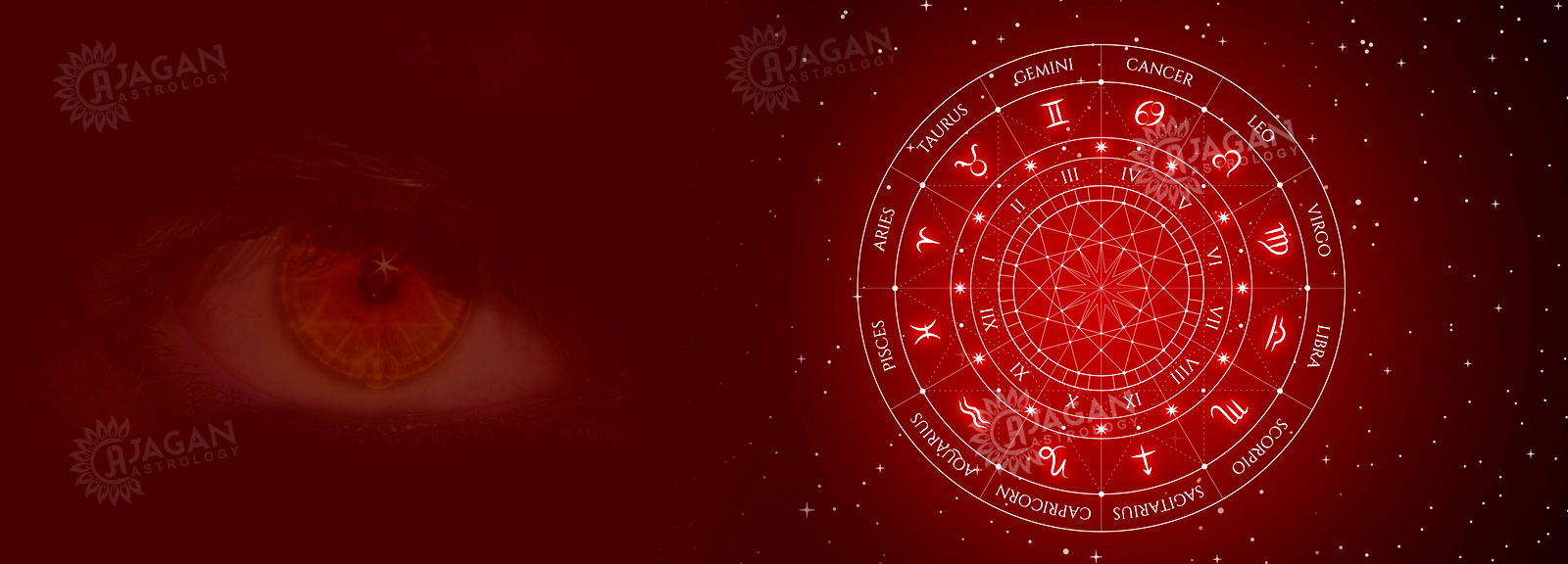 vashikaran astrologer