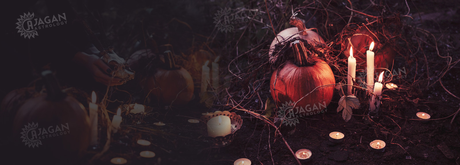 black magic specialist in wollongong
